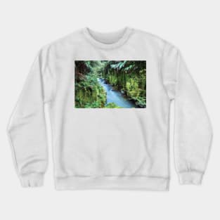 Whirinaki Forest Crewneck Sweatshirt